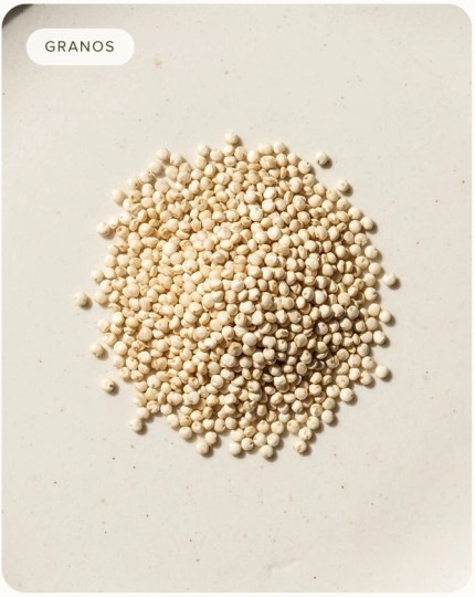 Quinua blanca