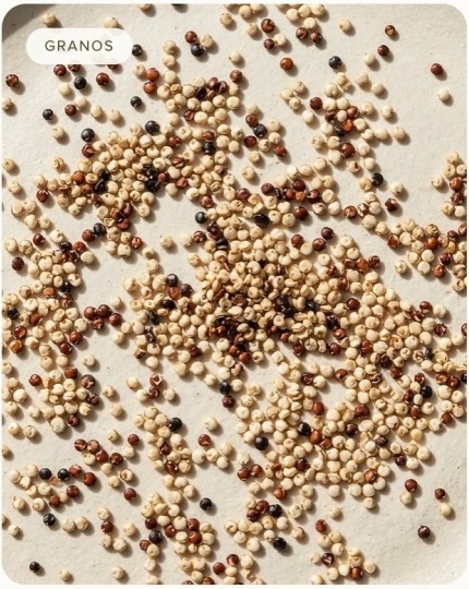 Quinua tricolor